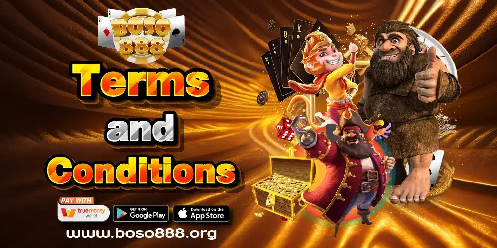 Terms and Conditions